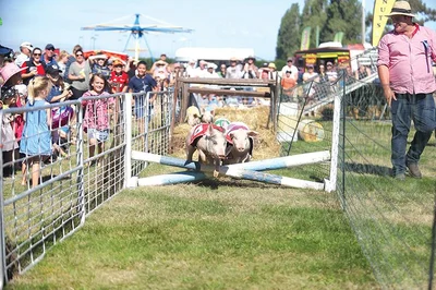 Mayfield Show a hit