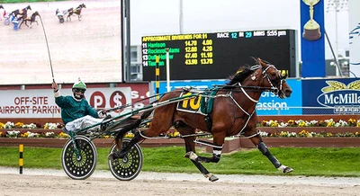 NZ Cup mooted for return to handicap race