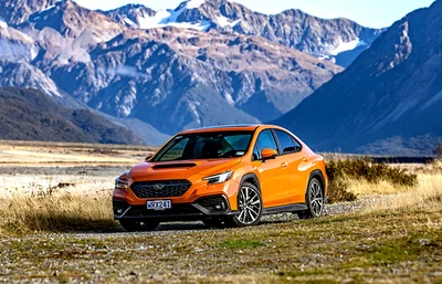 This one's a pure rally-bred