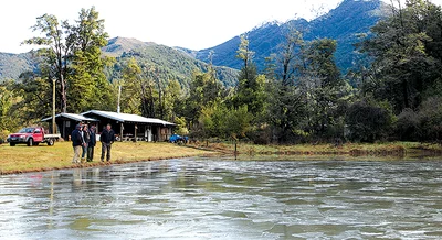 Hiccup strikes rink refrigeration plans