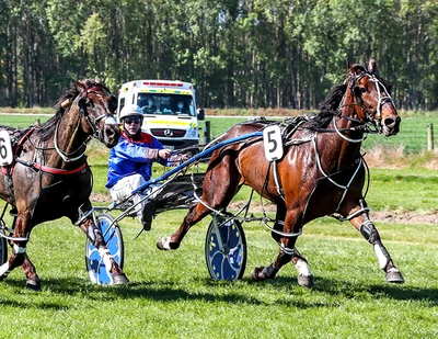 Slow and steady Cup build-up for Cranbourne