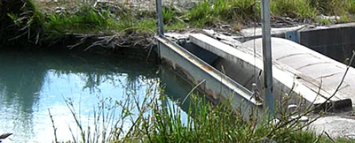 Council forced to act on fish screens
