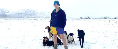 Dogs working on Cobber Challenge