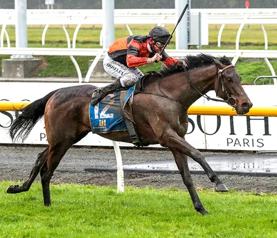 Mid Canterbury nominations in Cup Week features