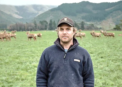 Canterbury deer farmers flock to 'know your number' workshops