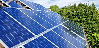 Swapping pine trees for solar panels