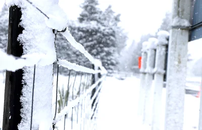 Polar blast turns countryside white
