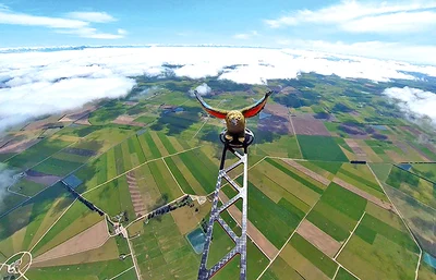 This is one high-flying kea