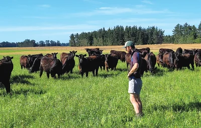 Fencing rethink crucial to farm plan