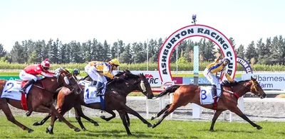 Emotion-charged day ahead on Ashburton turf
