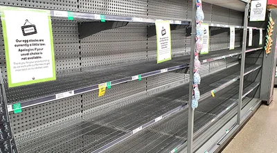 New rules means eggs in short supply