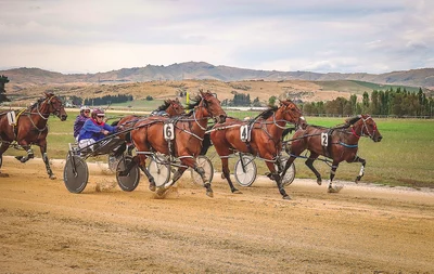 Locals chase black
type at Addington