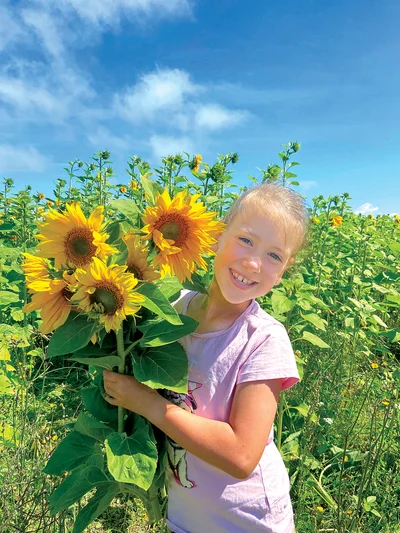 Sunflowers bringing smiles