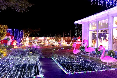 Frank's Christmas light show raises thousands