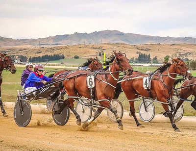 Group One glory in the offing
