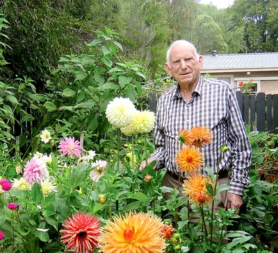 Graham's a Gunn with dahlias