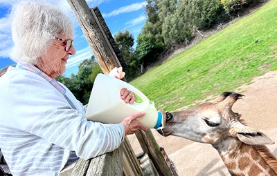 Doris' Orana Park adventures