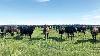 Farm focus day at Alderbrooke