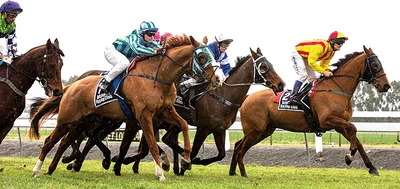 Jockey suspended after fatal race crash
