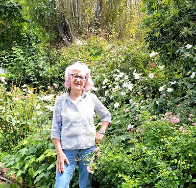 A glimpse behind the garden gate