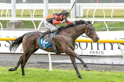 Mid Canterbury stables on a winning roll
