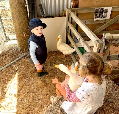Methven A&P Show a community affair