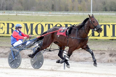 Local pacer targets Country Cups Championship