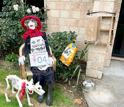 Back on Methven's scarecrow trail
