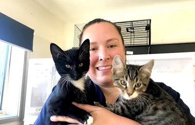 Kitten crisis looming in Ashburton