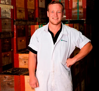 Apiculture industry buzzing