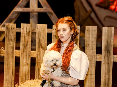 Review - The Wizard of Oz