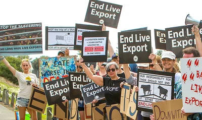 Mixed reaction as last live exports sail