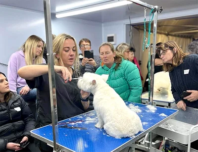 Dog grooming conference success