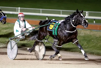Vindicator delivers on promise