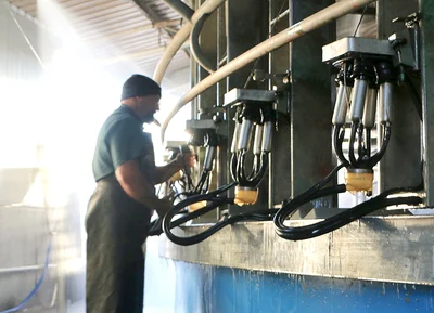 Dairy to feel the squeeze