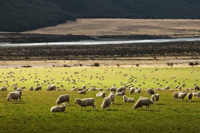 Farmers face highest cost rise in 40 years
