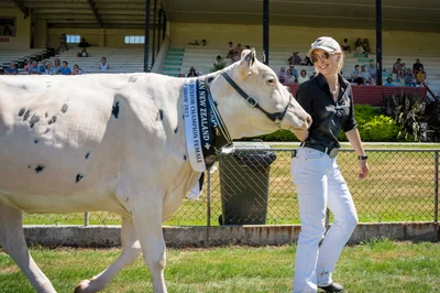 Dairy industry's brightest bound for Belgium
