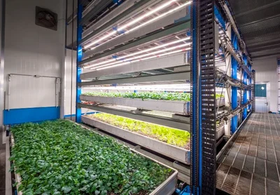 Ashburton home to farming first