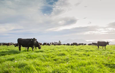 Opinion: Fresh water farm plans -workable legislation?