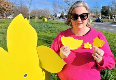 Daffodil disgrace