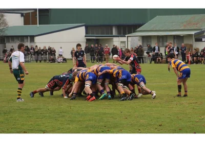 Locals feature in Junior Crusaders