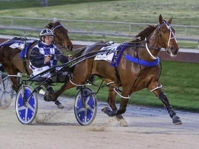 Stars come out to play in Hannon