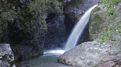 Sharplin Falls track not damaged in quake