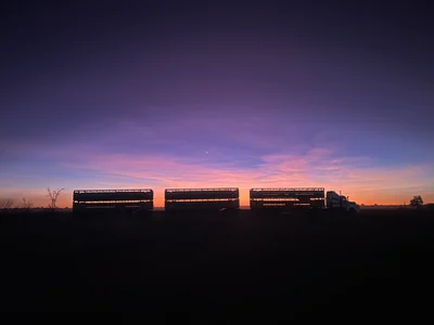 Red Dust and Road Trains
