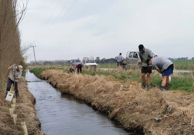 Lowlands catchment group