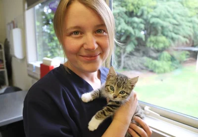 Cat charities overwhelmed
