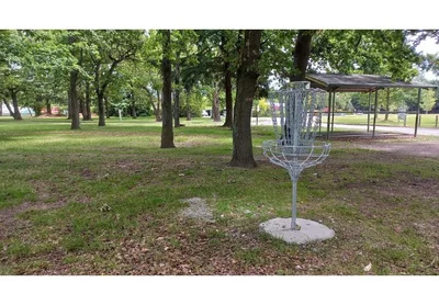 Disc golf fever set to hit Tinwald