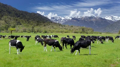 Fighting farm emissions