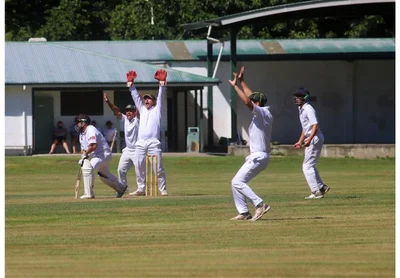 South Canterbury end Hawke Cup dream