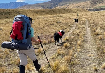 Magnificent Mid Canterbury walks